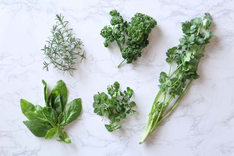 ハーブでつくる春のグリーンテーブル 前菜からメインまで簡単レシピ５選 Nextweekend