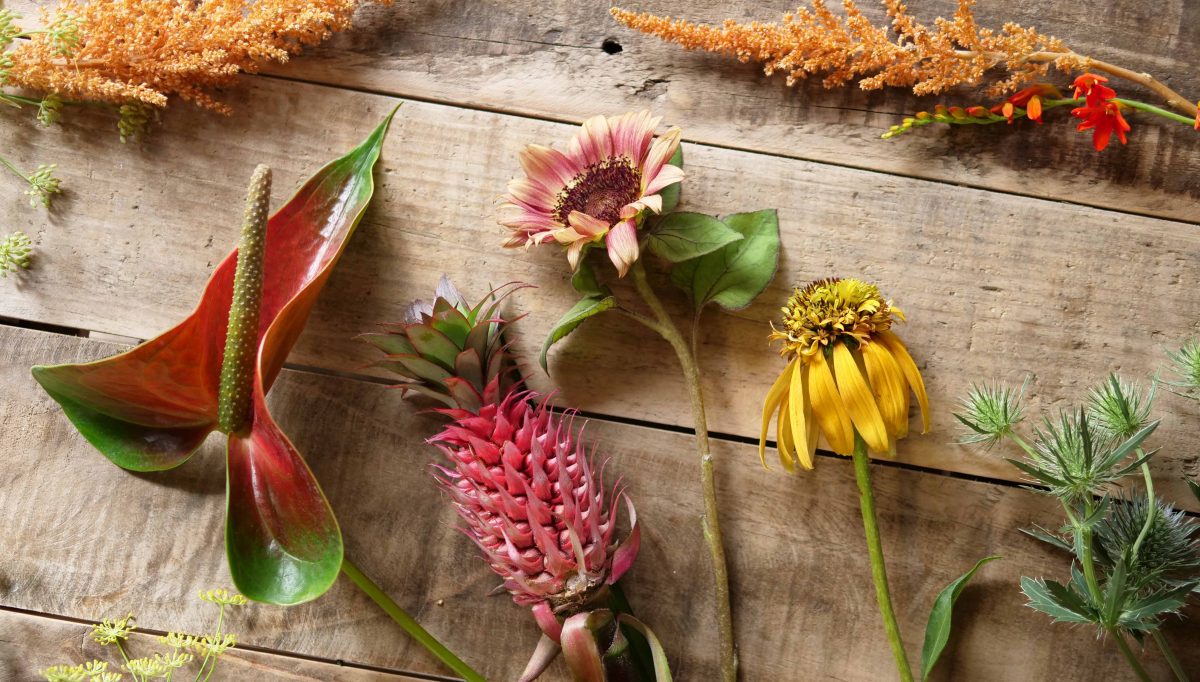 暑い季節でも花は楽しめる 常夏気分が味わえる7月の花選び Nextweekend 暑い季節でも花は楽しめる 常夏気分が味わえる7月の花選び Nextweekend