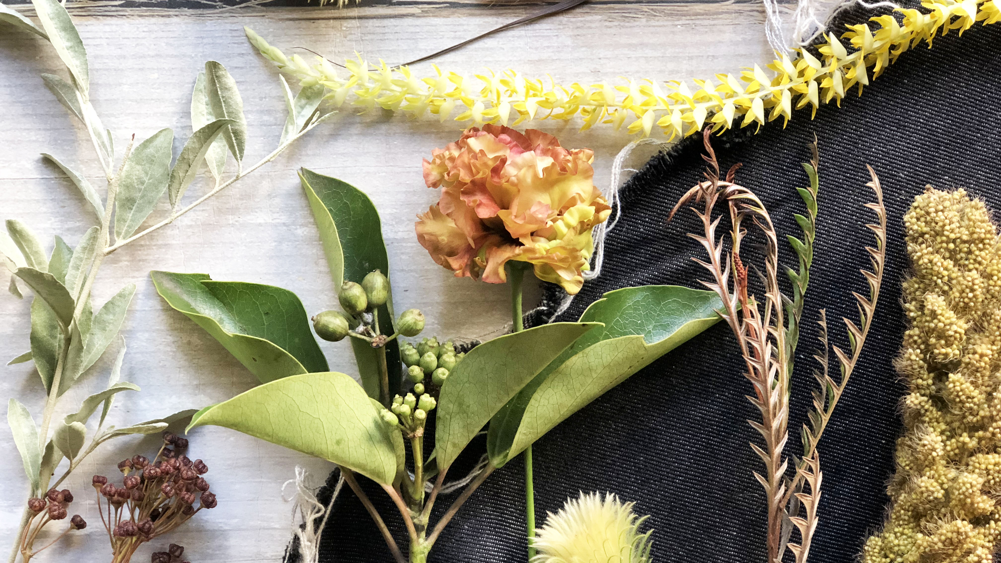 次の土日にとりいれたい理想の生活 週末野心のnextweekend