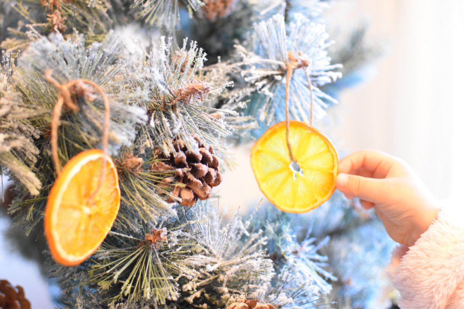 次の土日にとりいれたい理想の生活 | 週末野心のNEXTWEEKEND