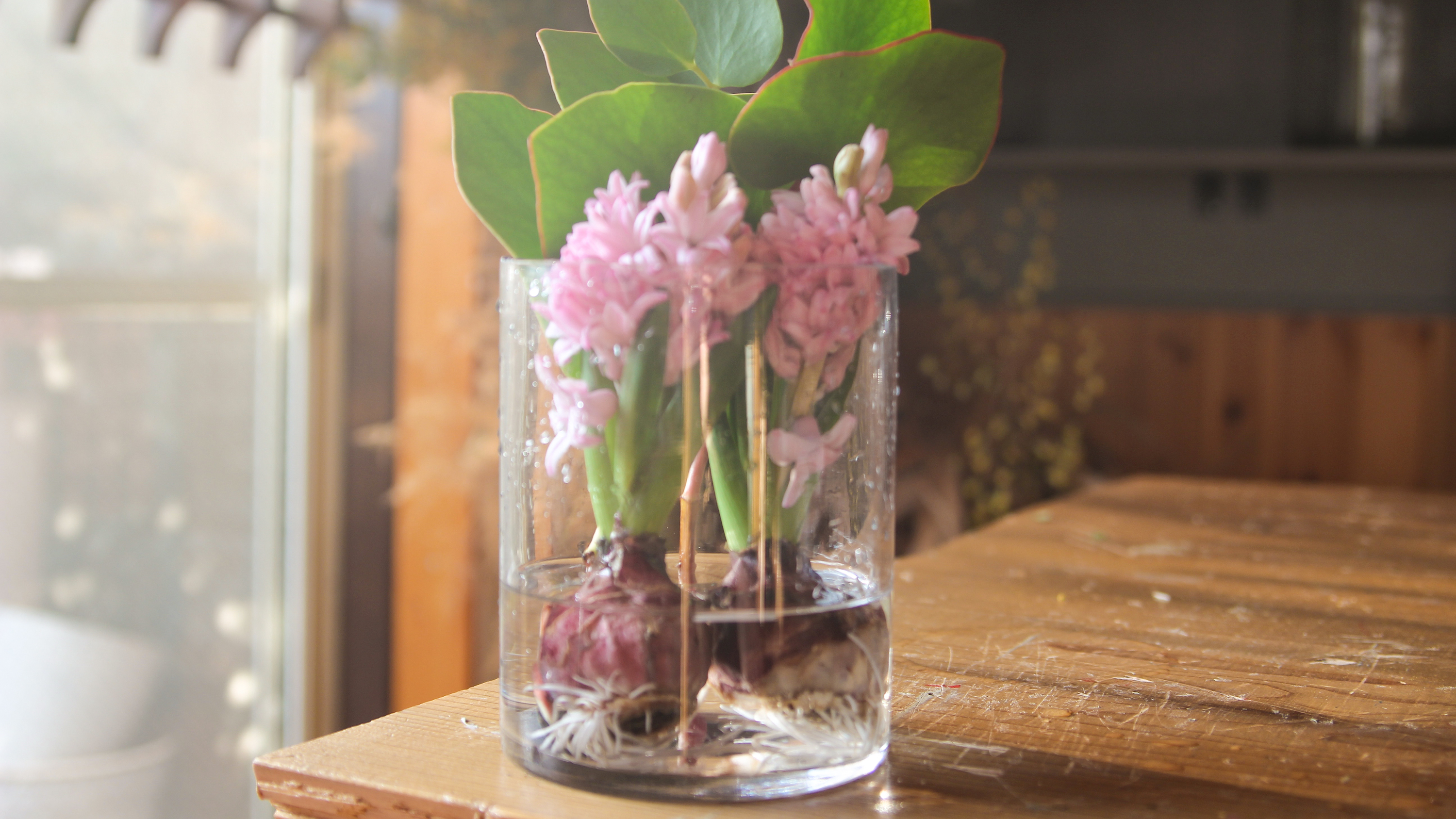 次の土日にとりいれたい理想の生活 週末野心のnextweekend