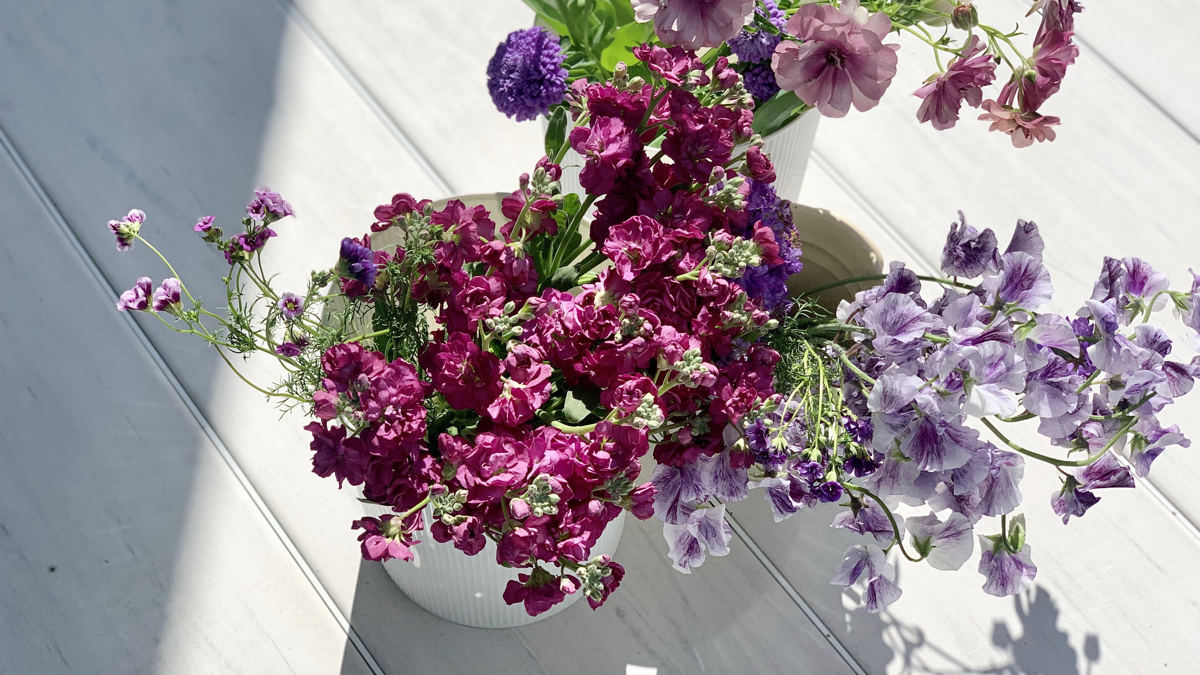 次の土日にとりいれたい理想の生活 週末野心のnextweekend