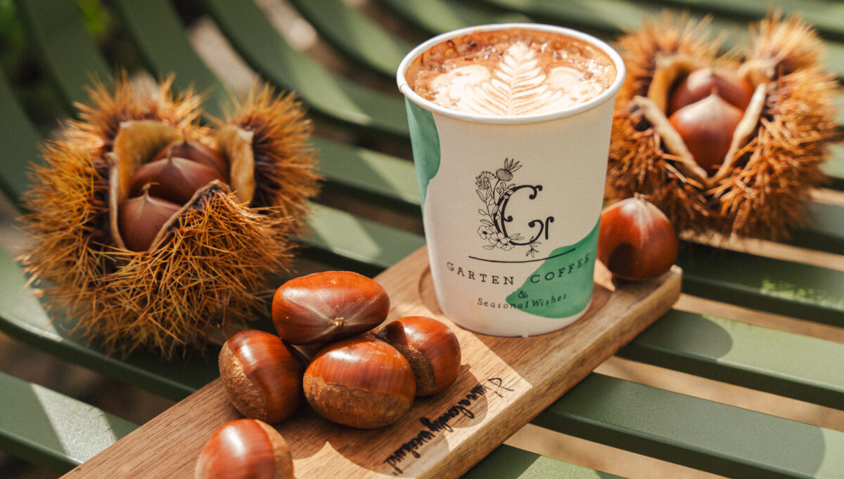 エリナABCスリム&トリム 3点セット 新品未開封 スリム&トリム ABCクィック